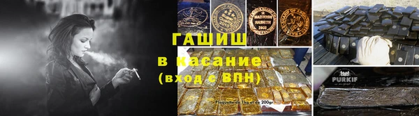 прущие грибы Гусев