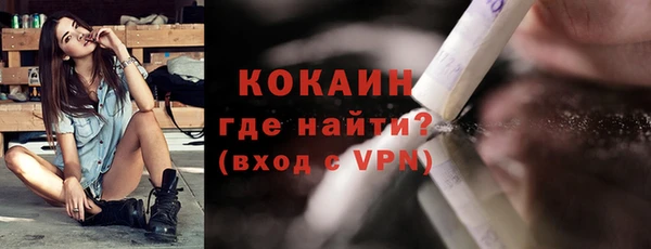 прущие грибы Гусев