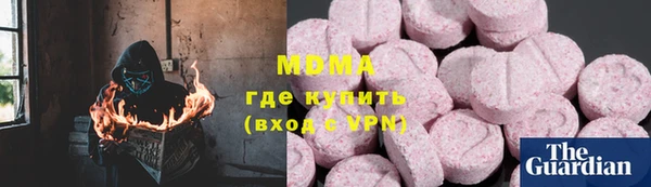 прущие грибы Гусев