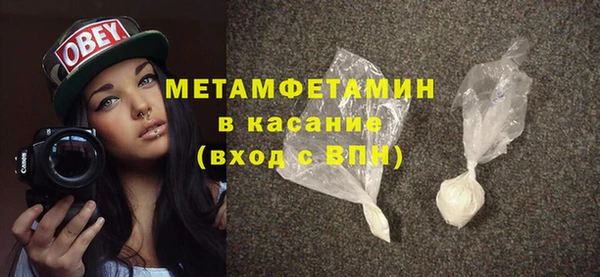 прущие грибы Гусев