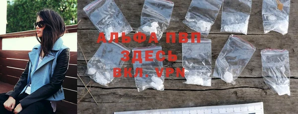 прущие грибы Гусев
