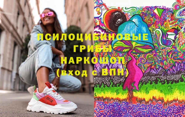 прущие грибы Гусев