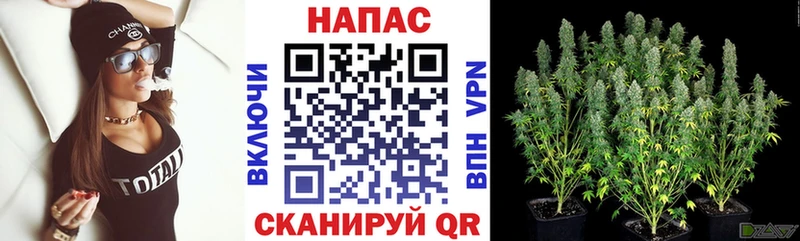 Бошки марихуана марихуана  купить   Давлеканово 